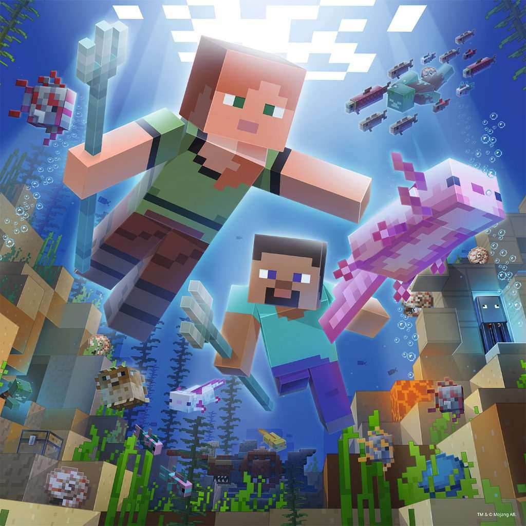 Puzzle: Minecraft: Biomes -