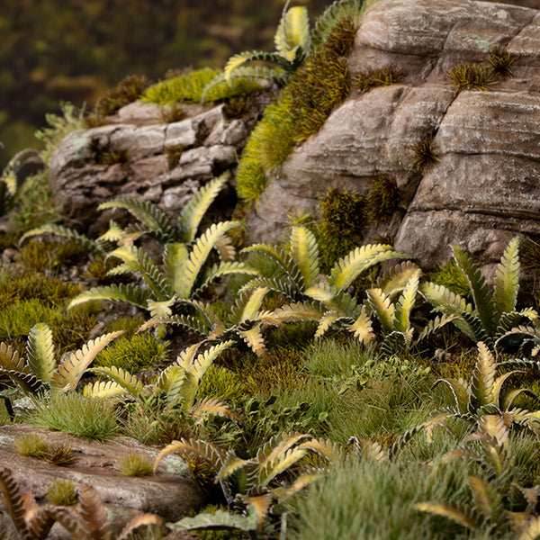 Gamers Grass Laser Plants: Deer Fern -