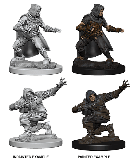 Pathfinder: Deep Cuts - Human Male Rogue -
