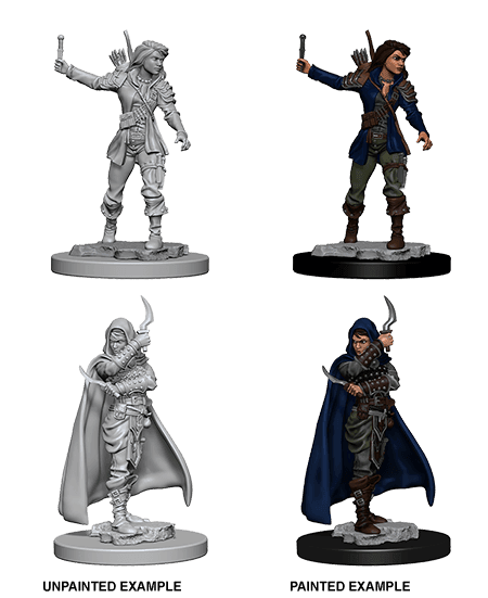 Pathfinder: Deep Cuts - Human Female Rogue -