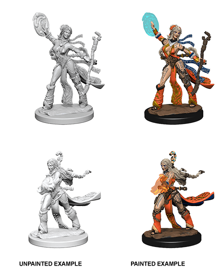 Pathfinder: Deep Cuts - Human Female Sorcerer -