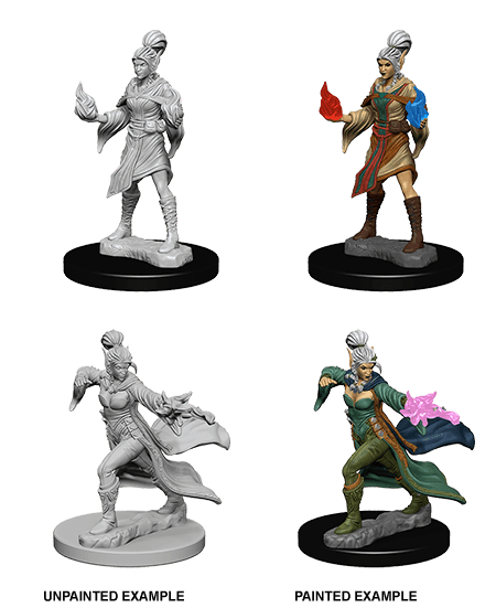 Pathfinder: Deep Cuts - Elf Female Sorcerer -