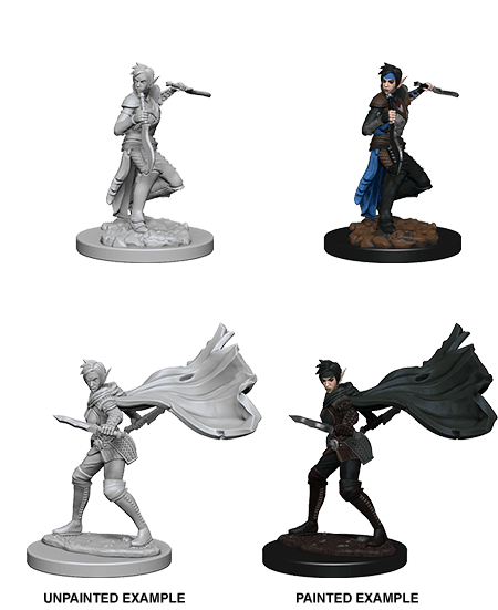 Pathfinder: Deep Cuts - Elf Female Rogue -