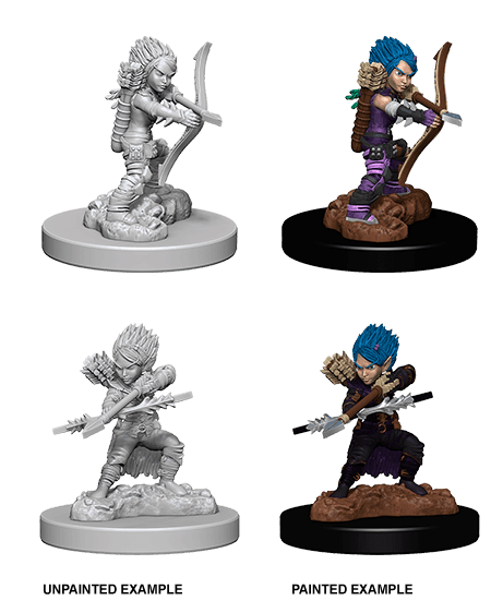Pathfinder: Deep Cuts - Gnome Female Rogue -