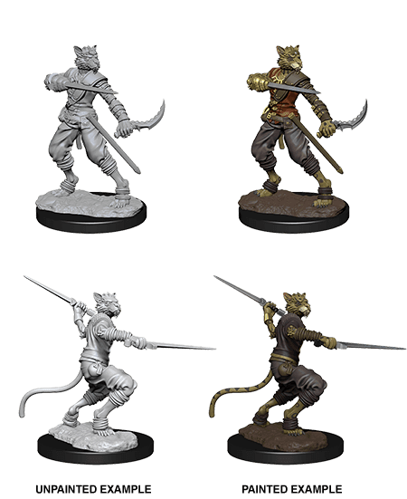 D&D: Nolzur's Marvelous Miniatures - Tabaxi Male Rogue -