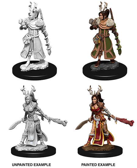 D&D: Nolzur's Marvelous Miniatures - Human Female Druid -