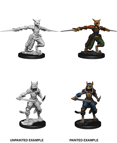 D&D: Nolzur's Marvelous Miniatures - Tabaxi Female Rogue -