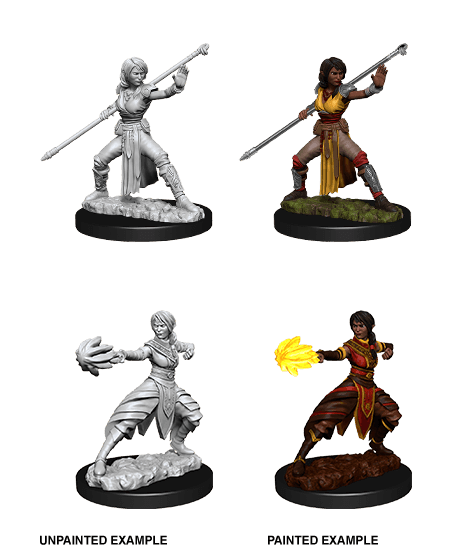 D&D: Nolzur's Marvelous Miniatures - Half-Elf Female Monk -