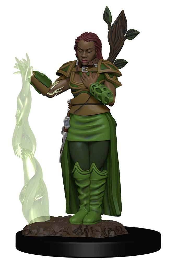 D&D: Icons of the Realms - Human Female Druid -