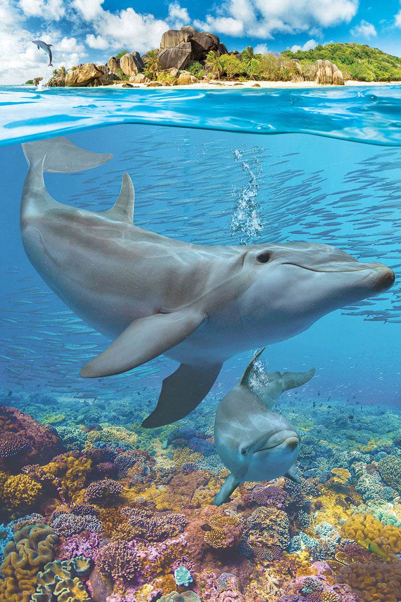 Puzzle: Save Our Planet Puzzles - Dolphins -