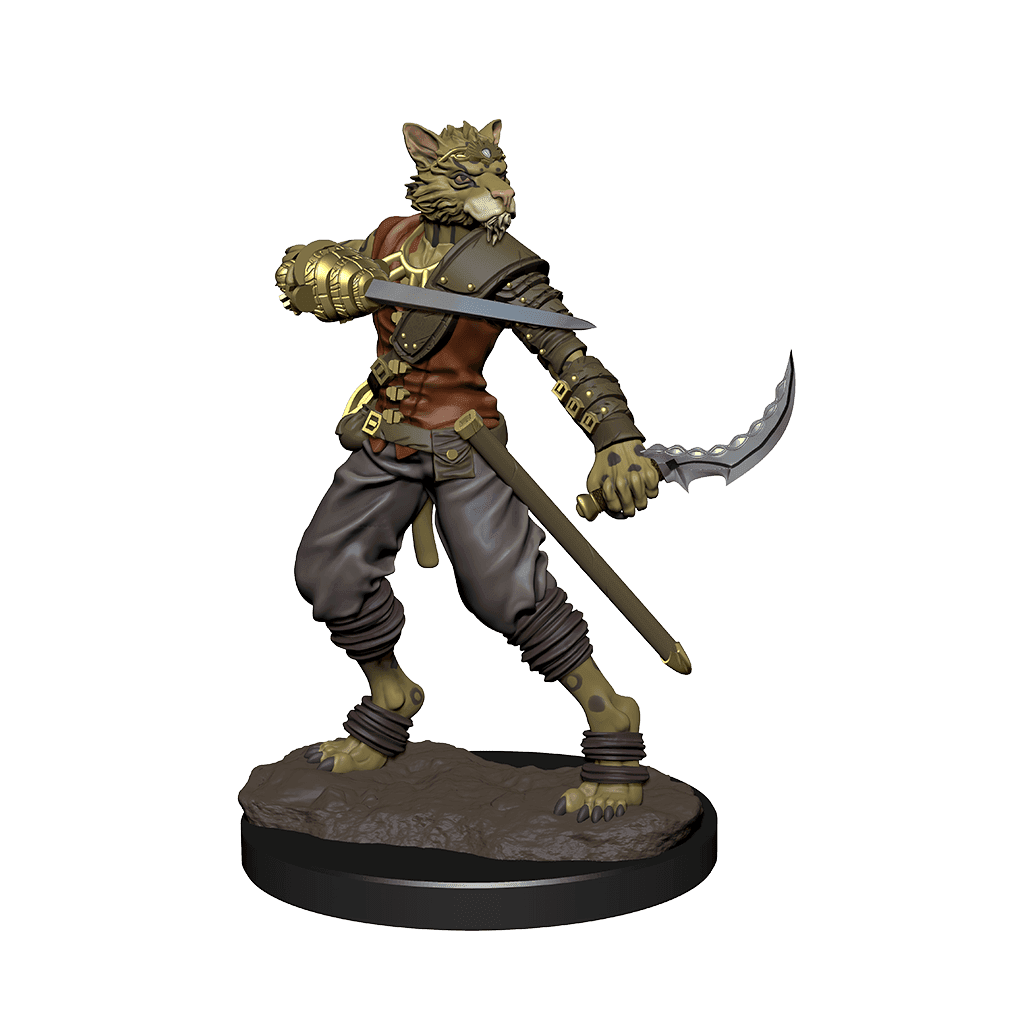 D&D: Icons of the Realms - Tabaxi Rogue Male -