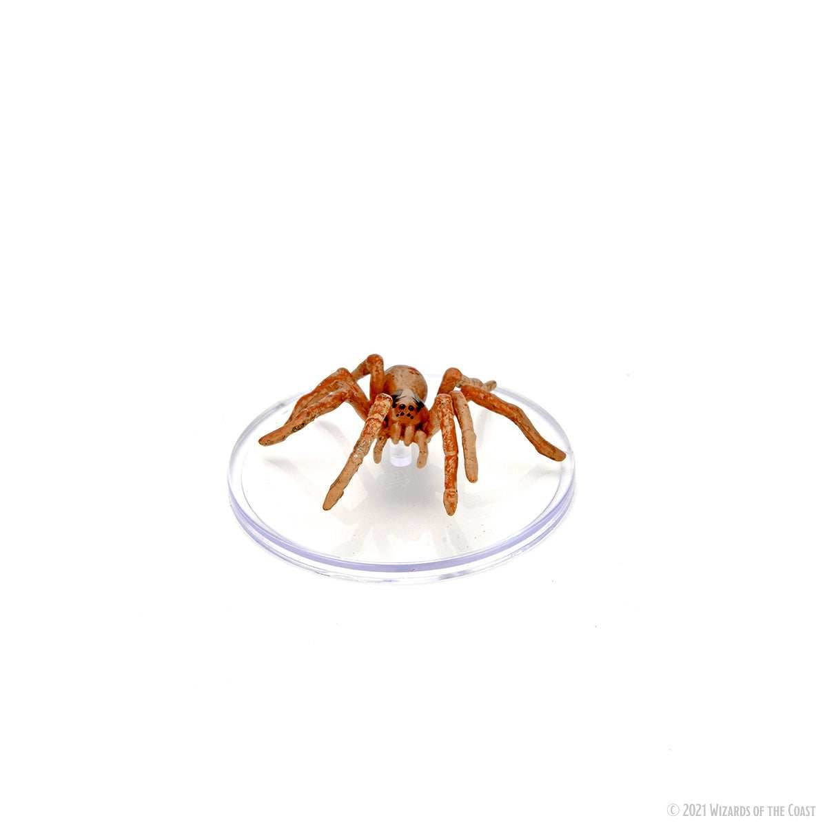 D&D: Icons of the Realms - Wild Shape & Polymorph (Set 2) -