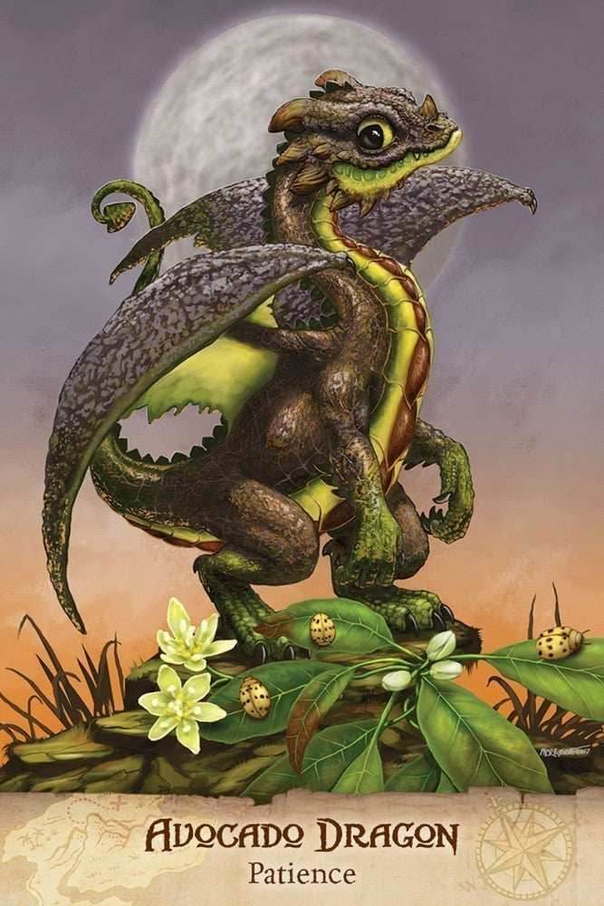 Field Guide To Garden Dragons -