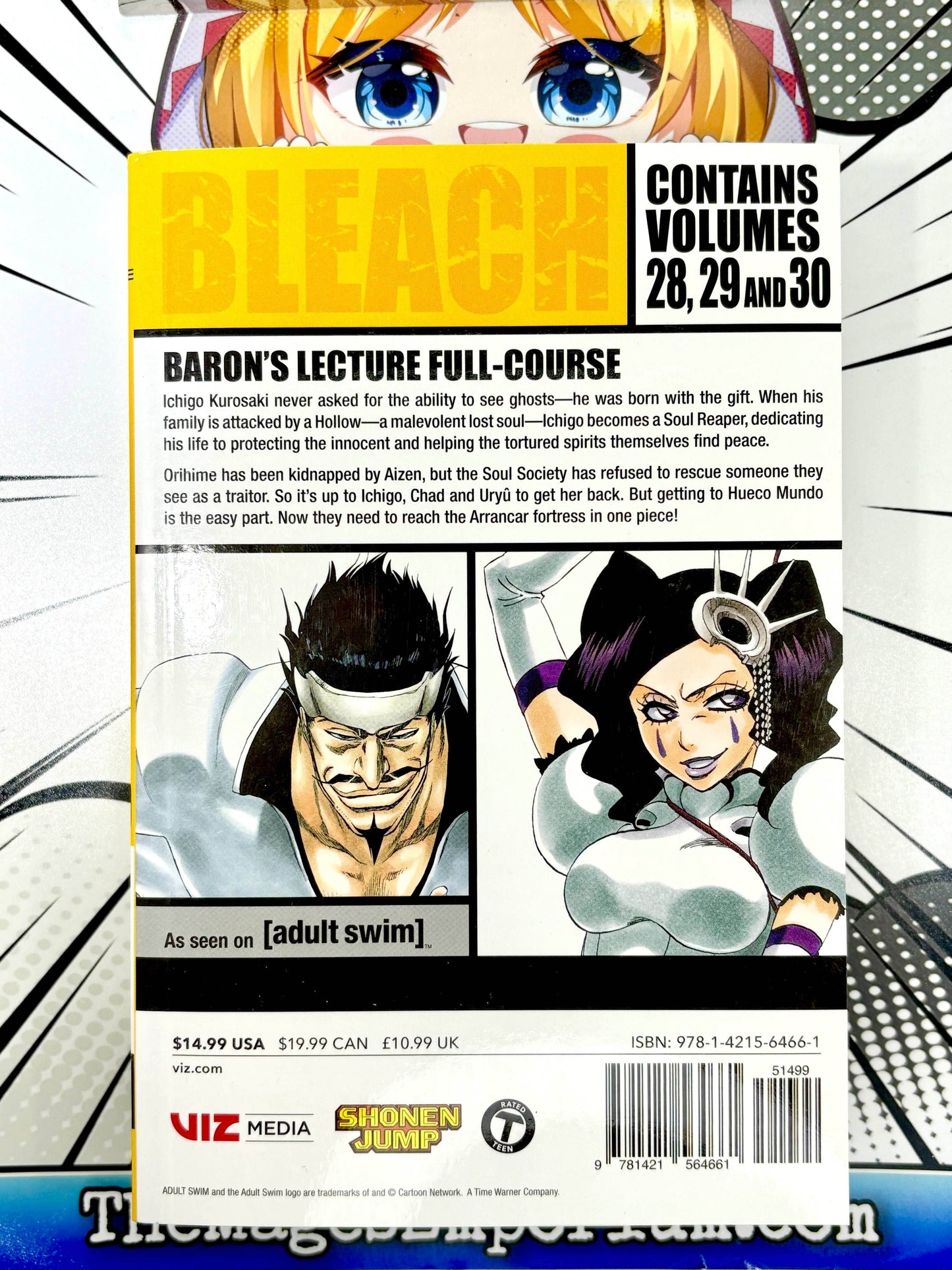 Bleach Vol 28-30 Omnibus -