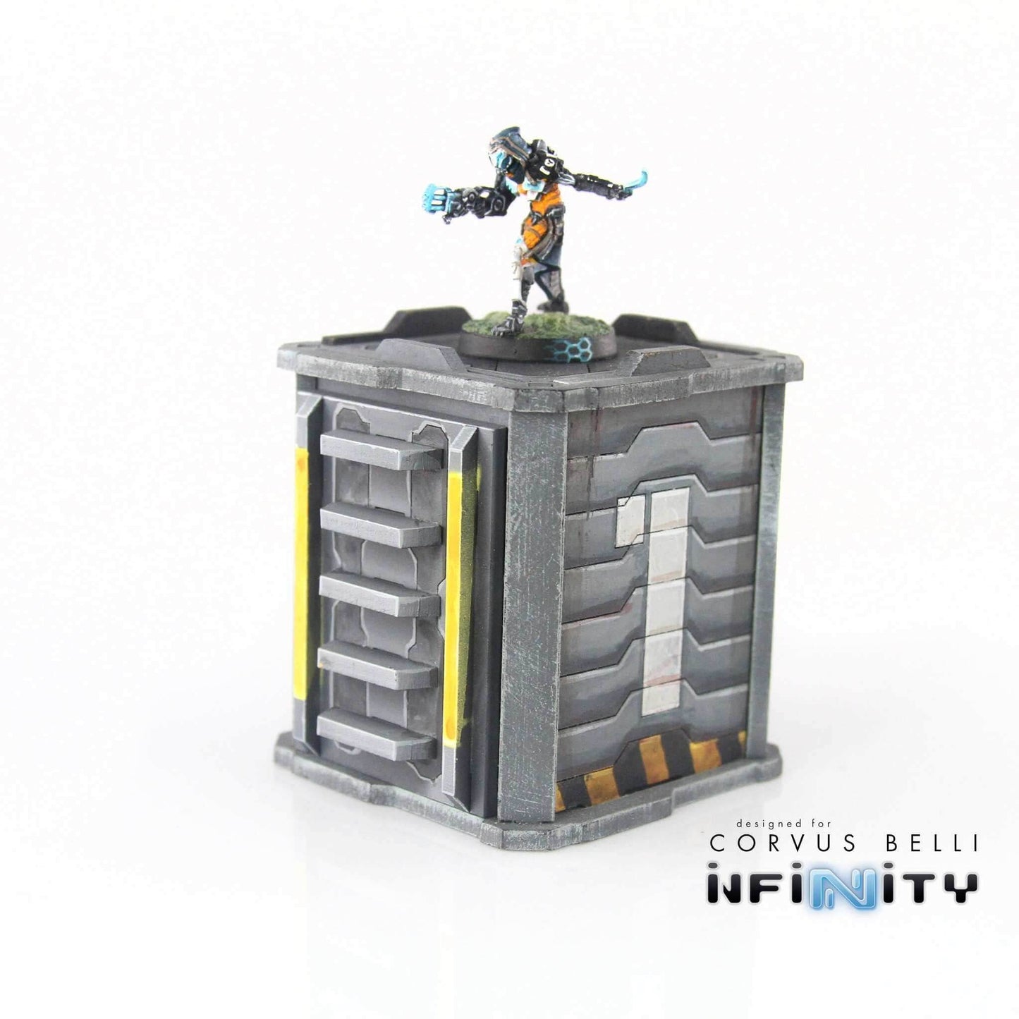 Shipping Container Ladder -