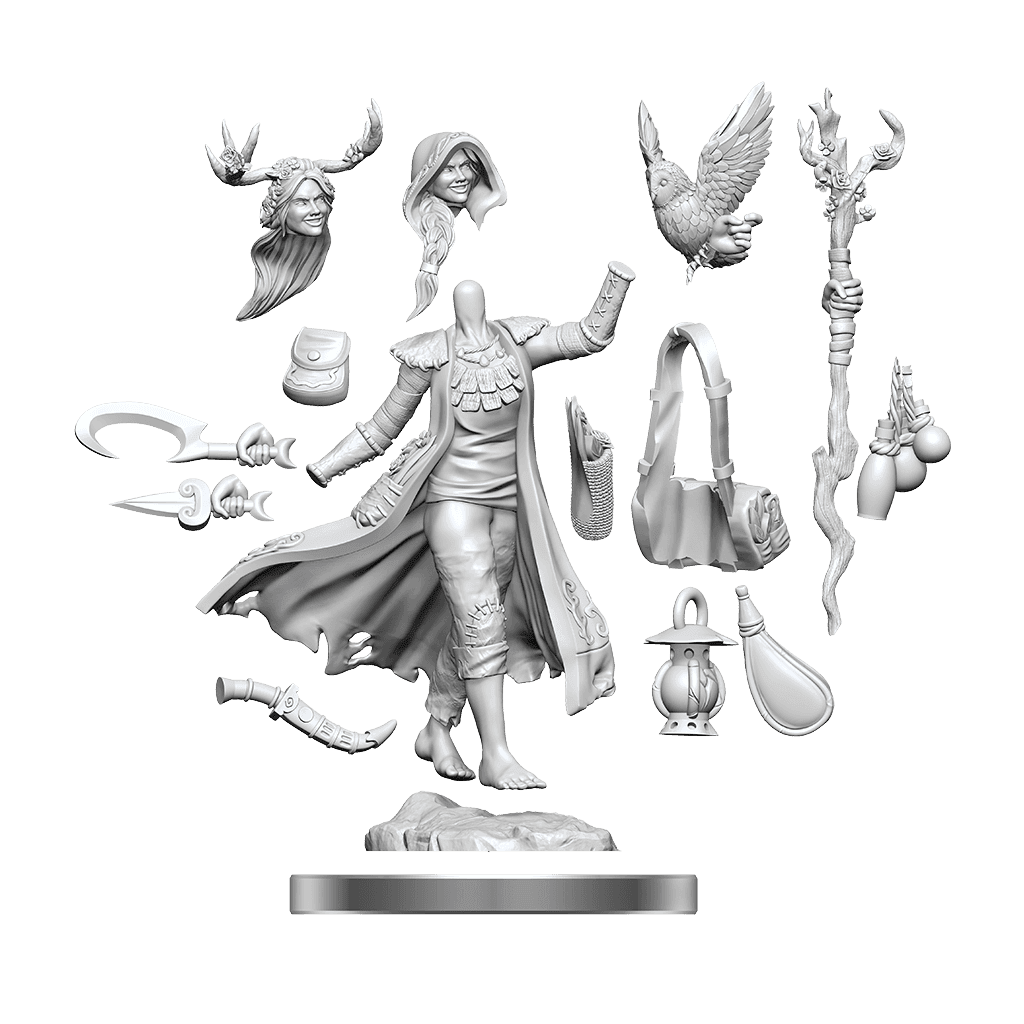 D&D: Frameworks - Human Druid Female -