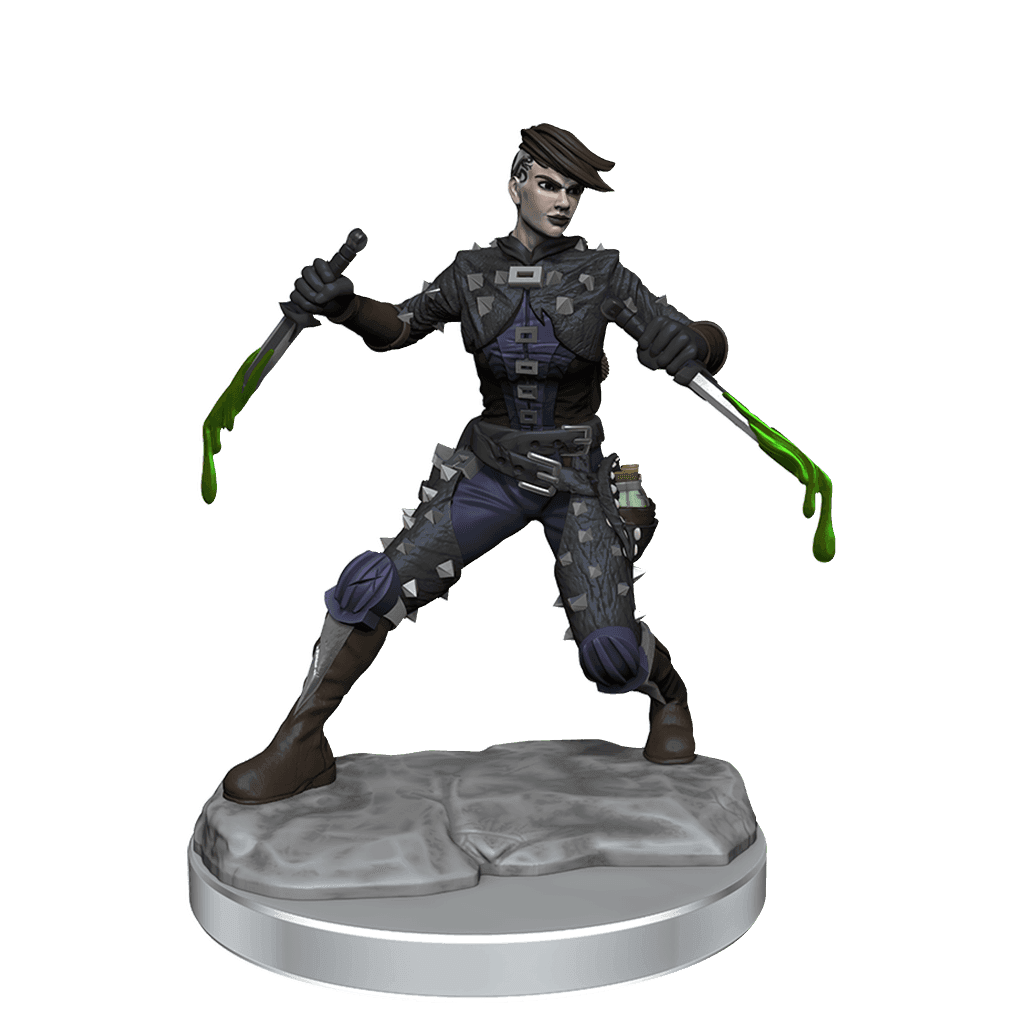D&D: Frameworks - Human Rogue Female -