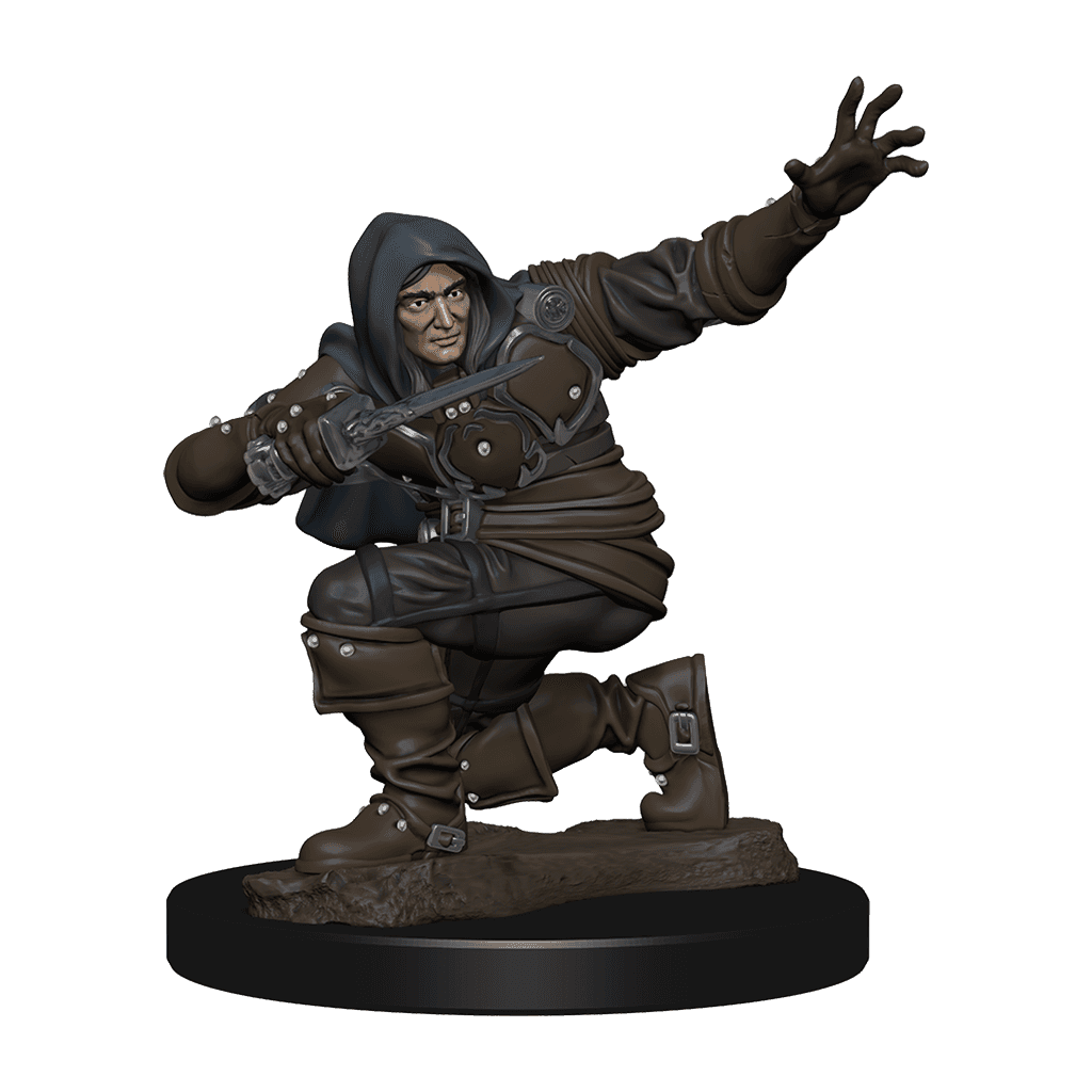 Pathfinder Battles: Human Rogue Male -