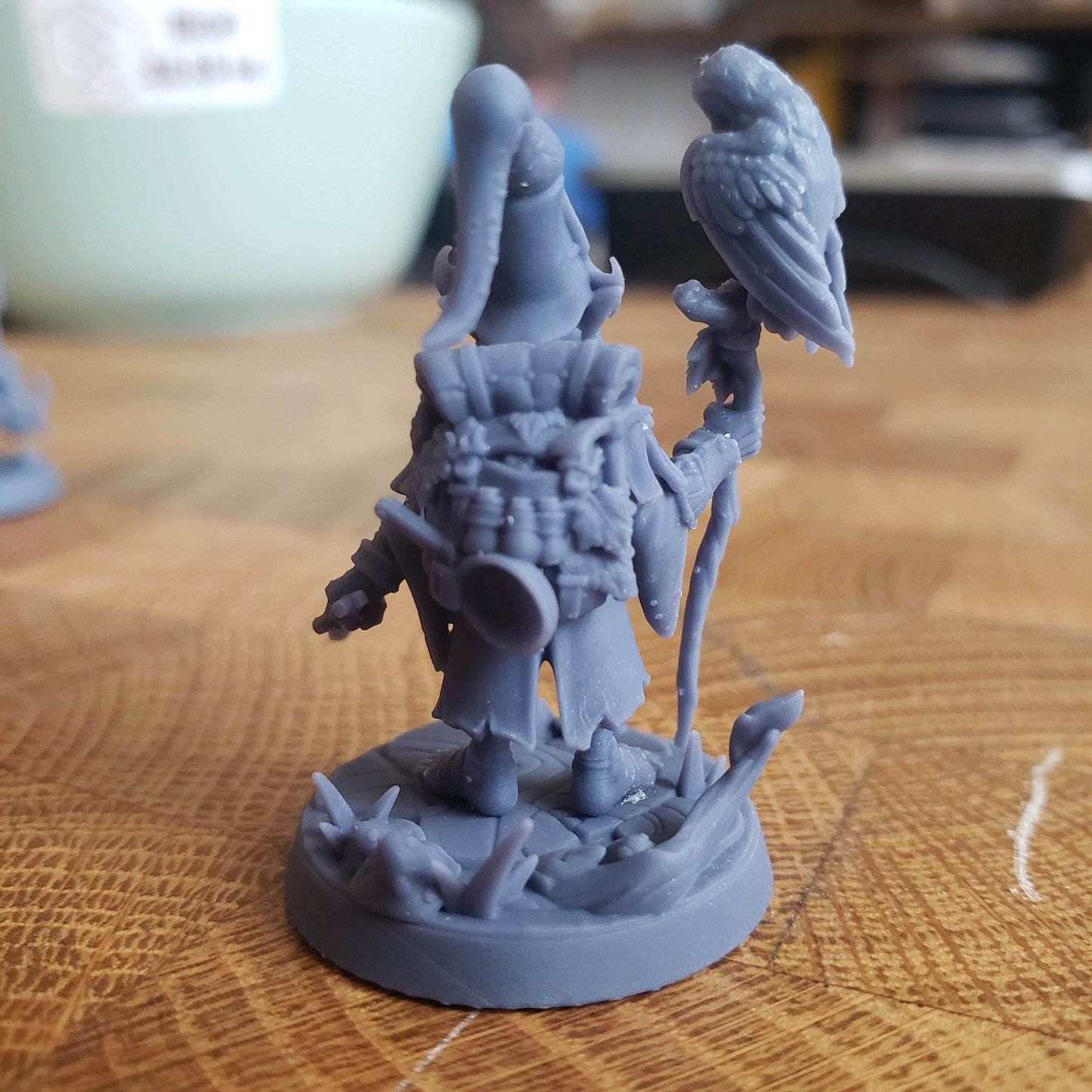Baggo Elderleaf (Male Gnome Wizard) -