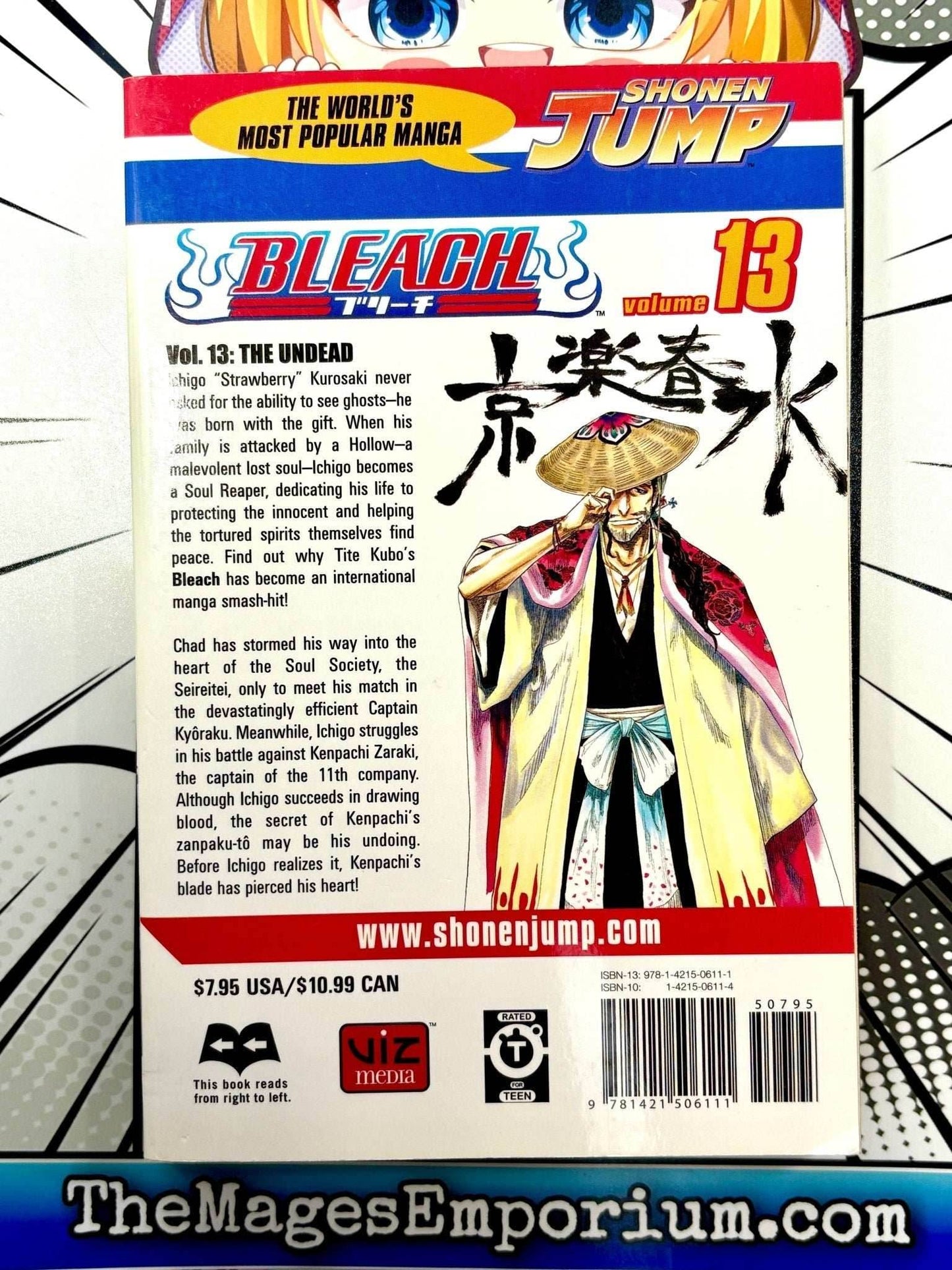 Bleach Vol 13 -