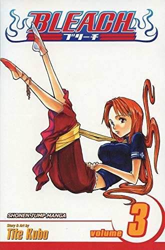 Bleach Vol 3 -