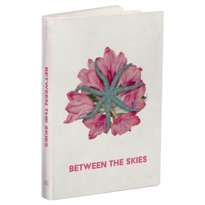 Between the Skies: Collected Edition Hardcover -