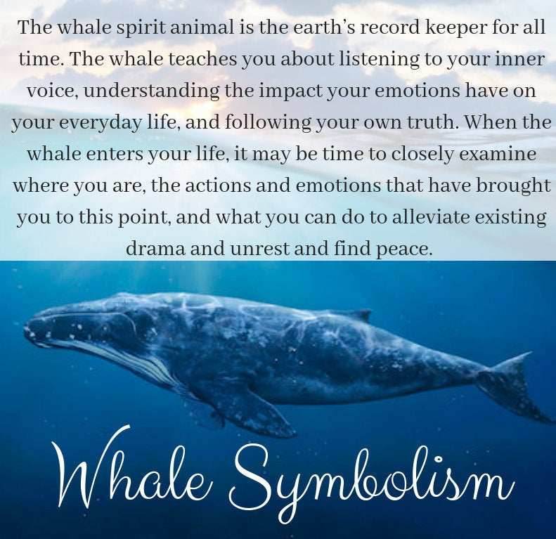 Whale Line Necklace -