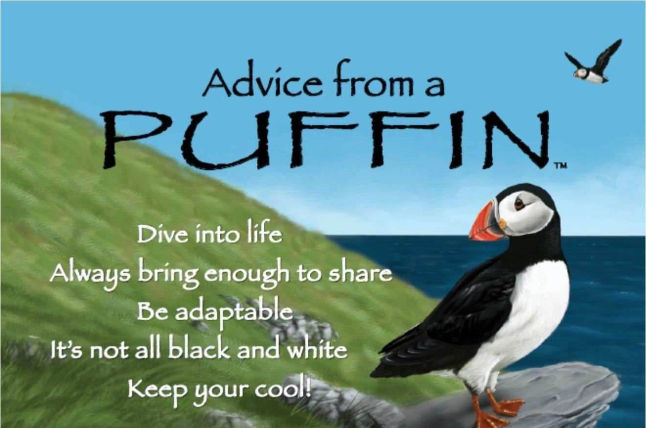 Orkney Puffin Earrings -