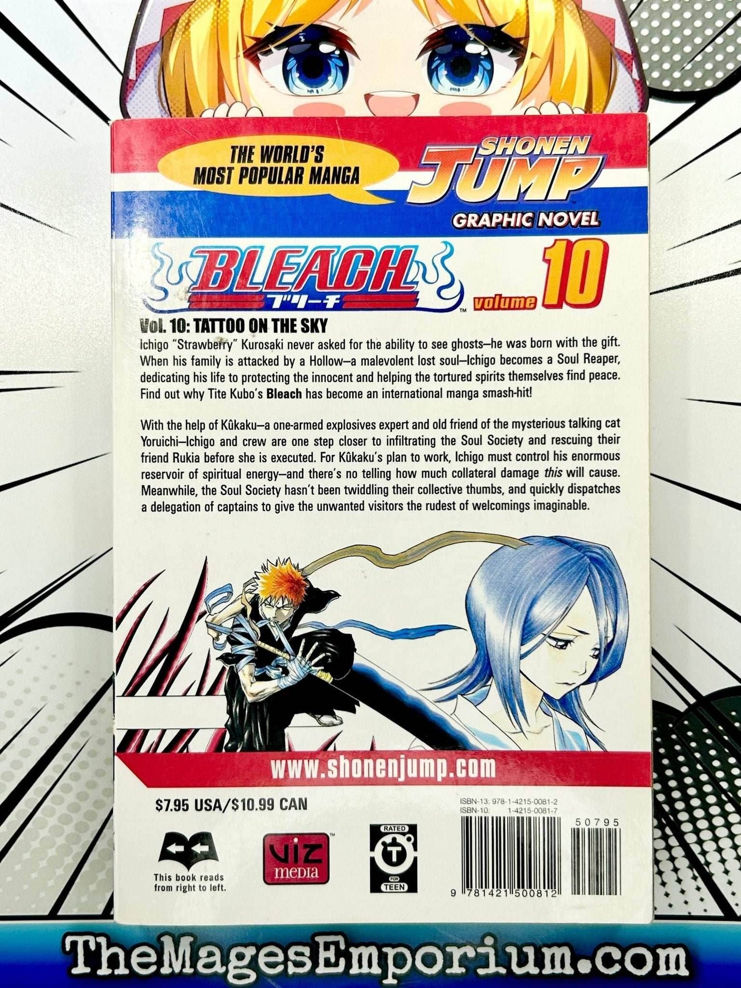 Bleach Vol 10 -