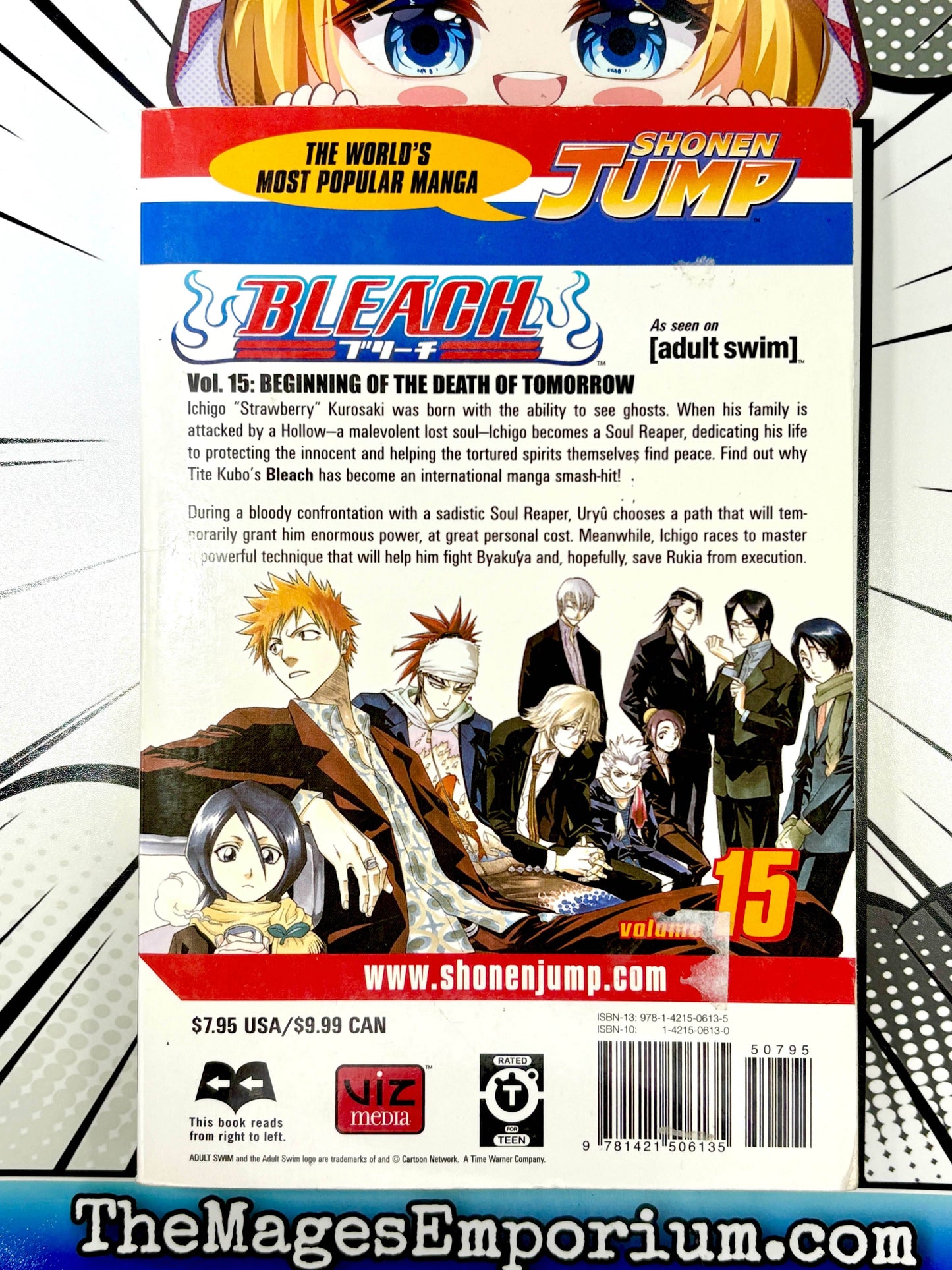 Bleach Vol 15 -