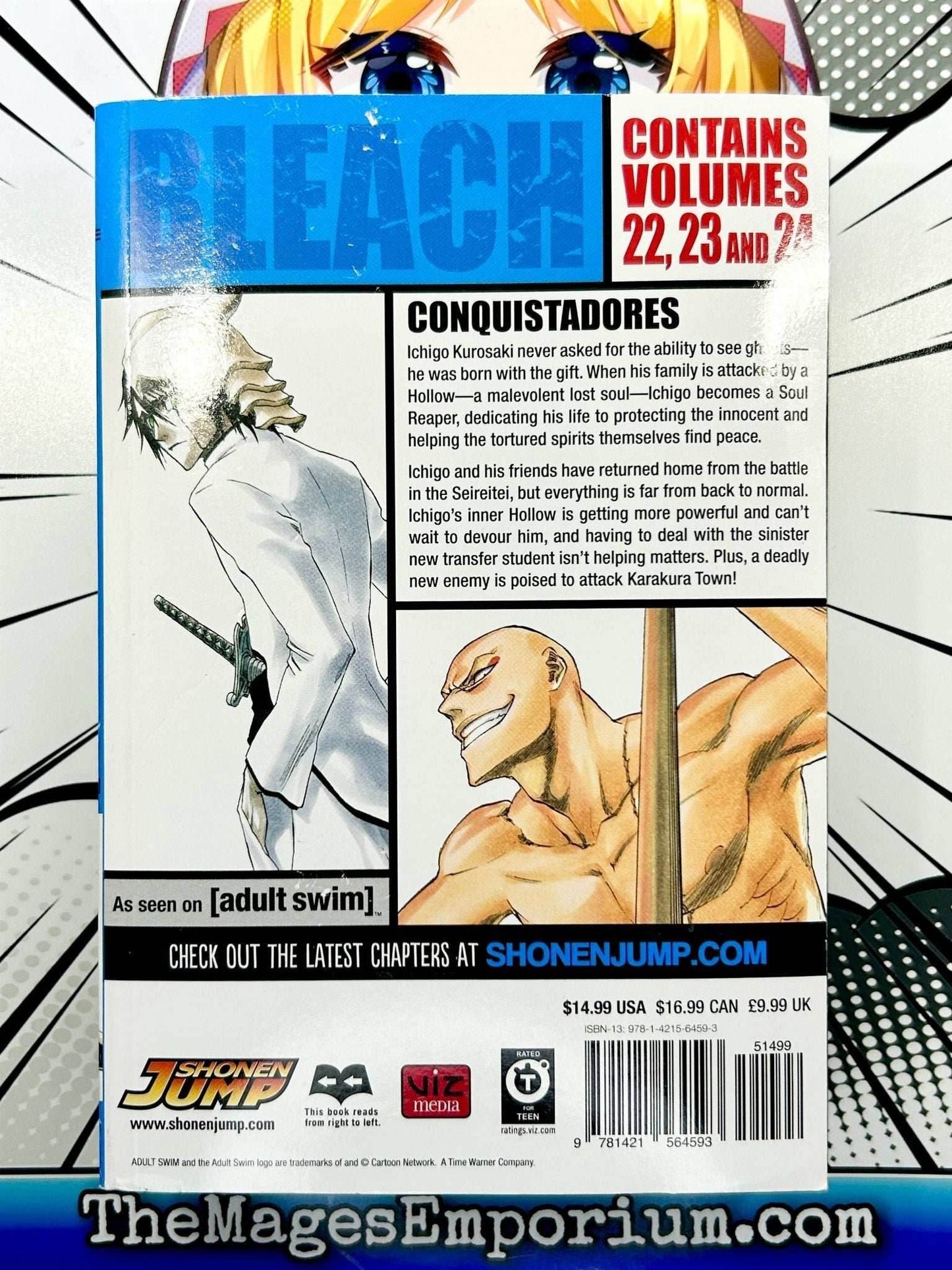 Bleach Vol 22-24 Omnibus -
