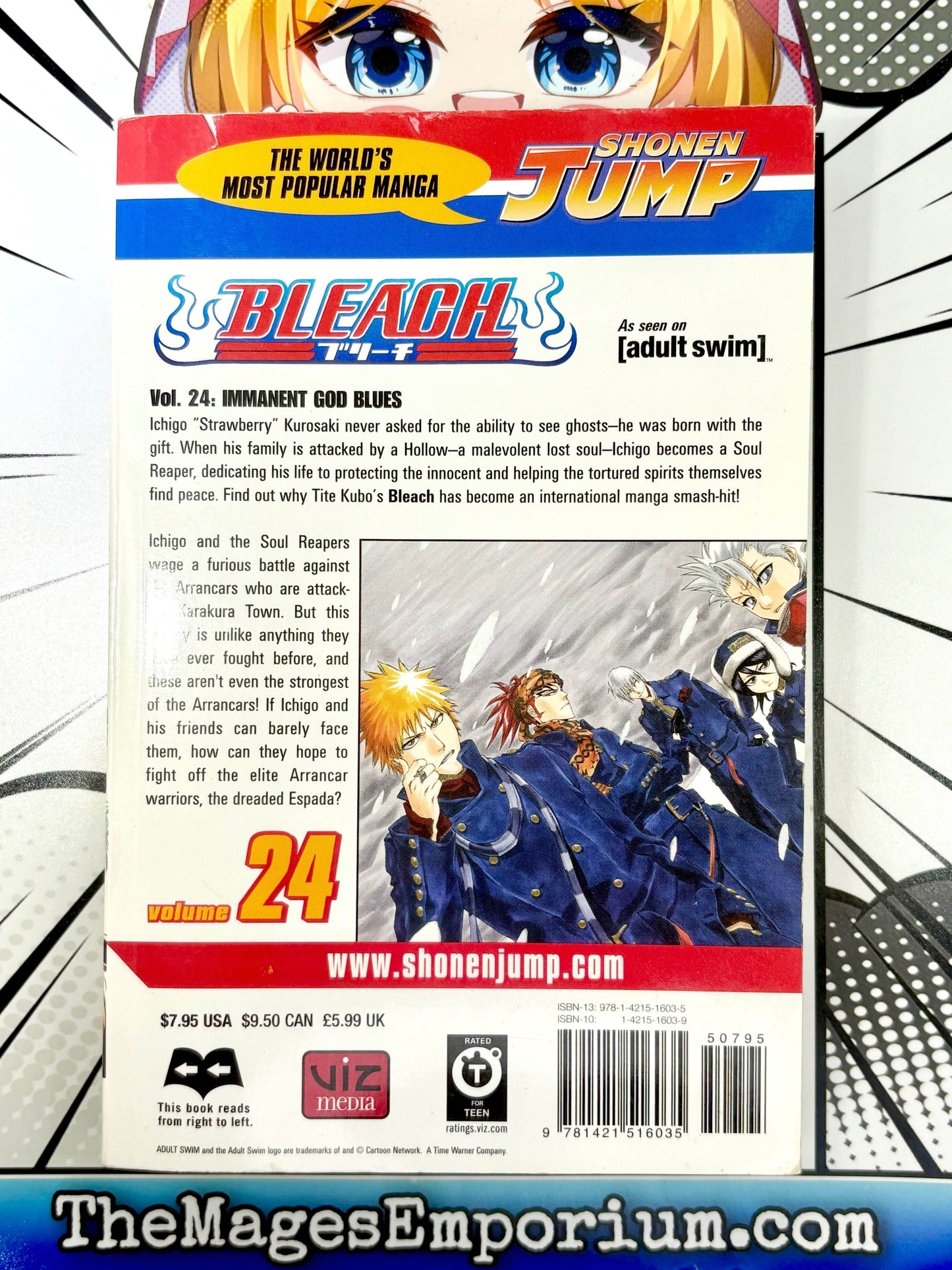 Bleach Vol 24 -