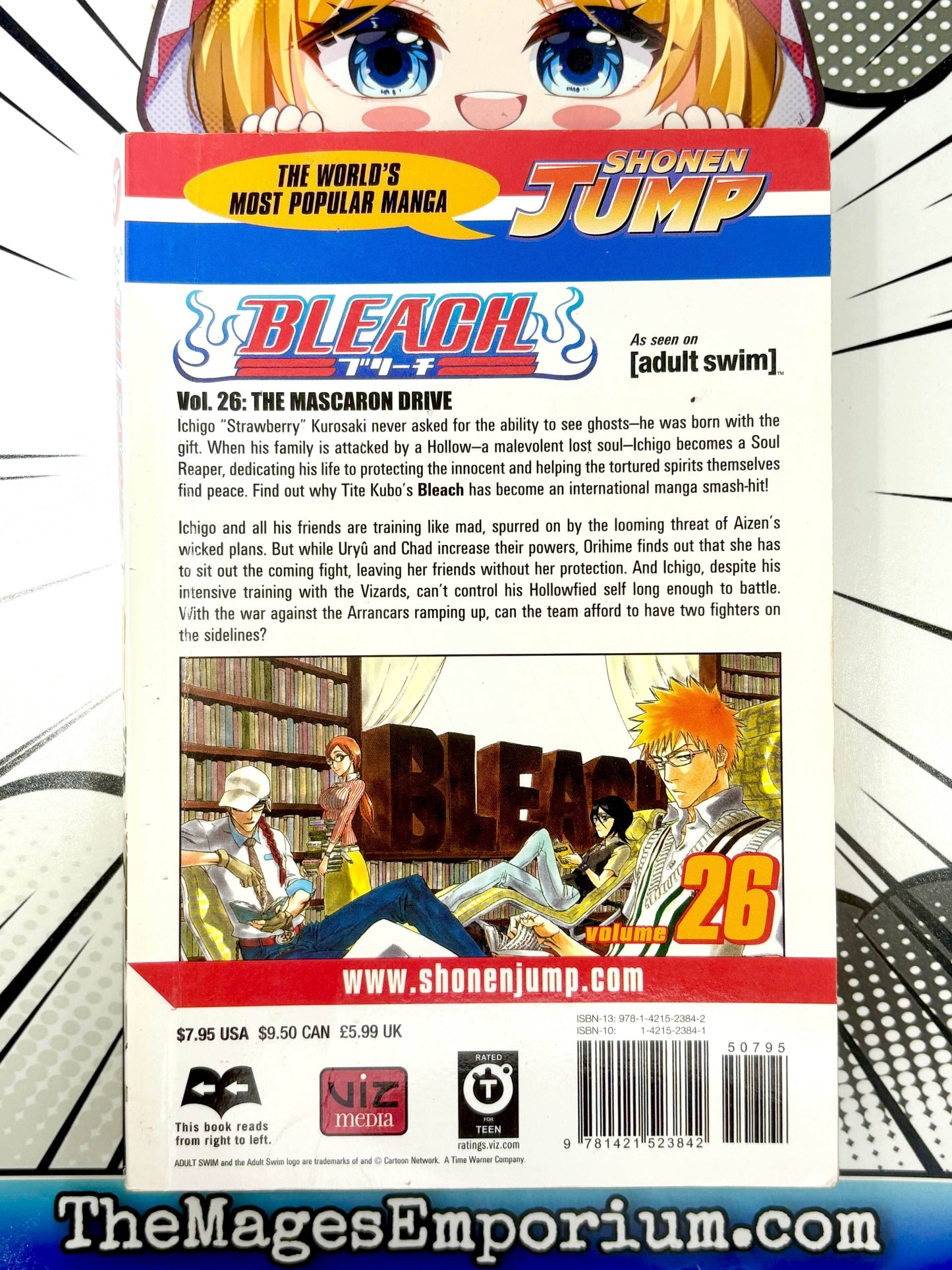 Bleach Vol 26 -