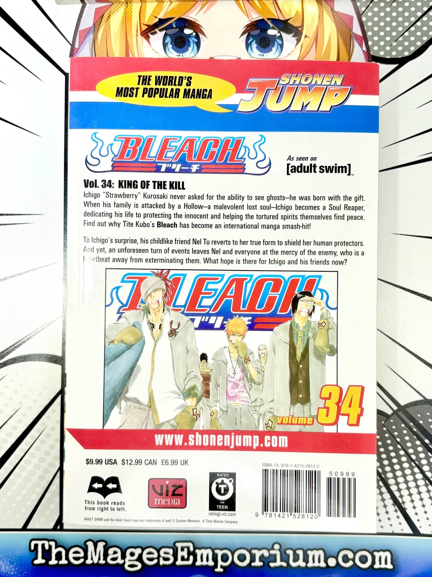 Bleach Vol 34 -