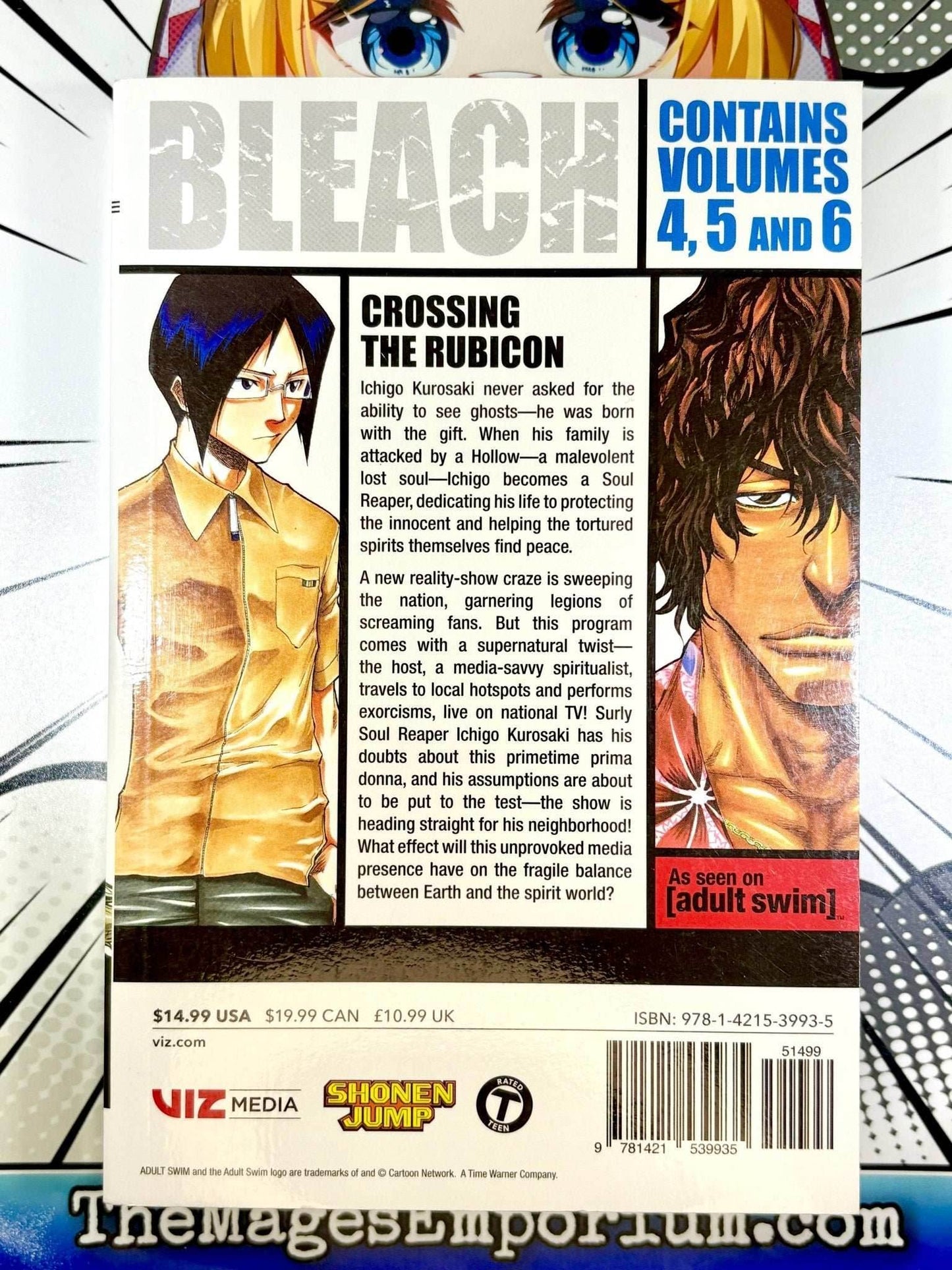 Bleach Vol 4-6 Omnibus -