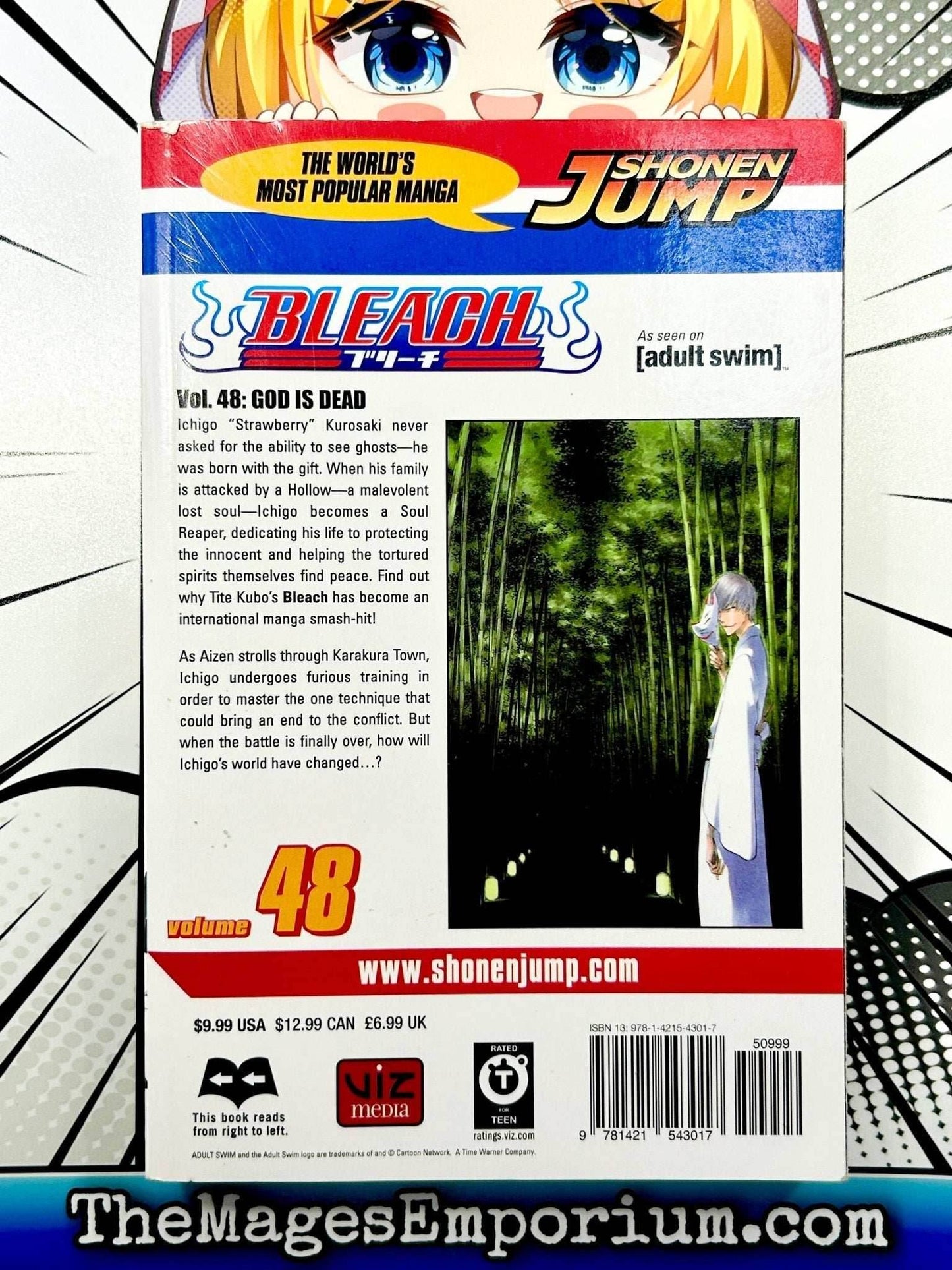 Bleach Vol 48 -