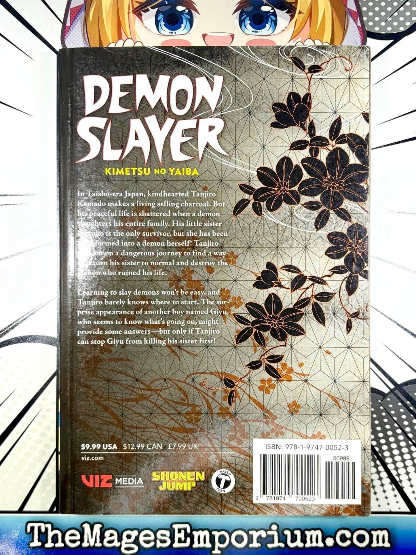 Demon Slayer Vol 1 -
