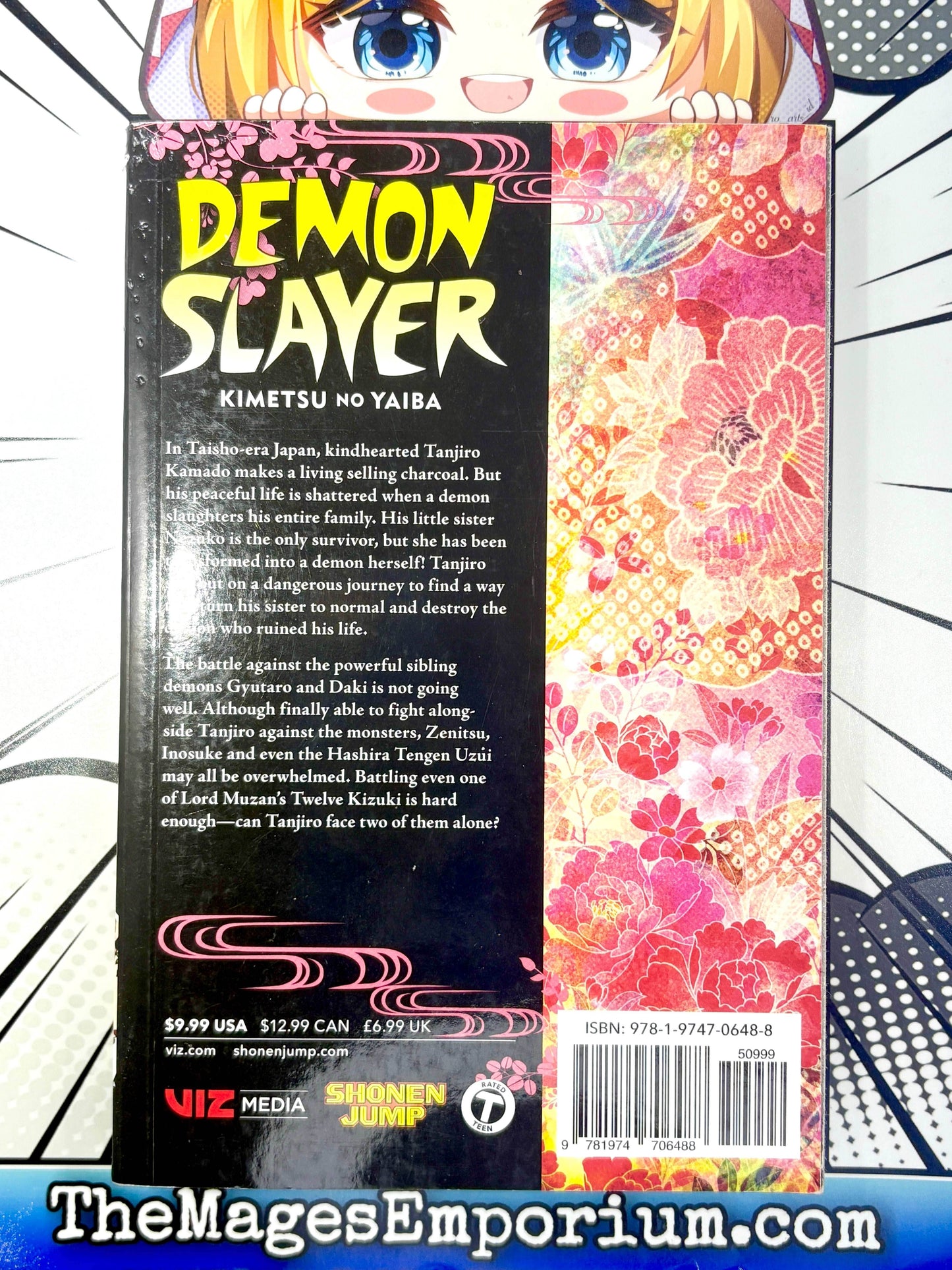 Demon Slayer Vol 11 -