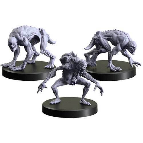 The Witcher RPG: Necrophages 3 - Grave Hag -