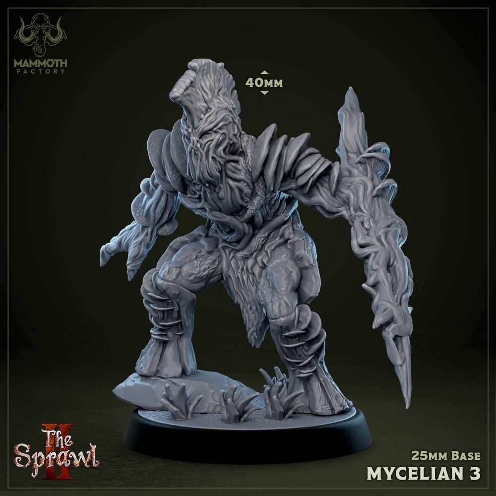 Mycelian 3 (Myconid Warrior) -