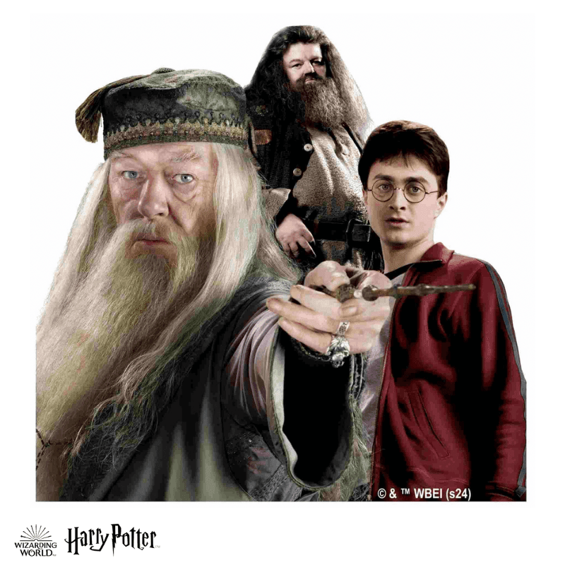 Harry Potter - The Magical Guardians Wooden Jigsaw Puzzle - A4 + Wooden Gift Box