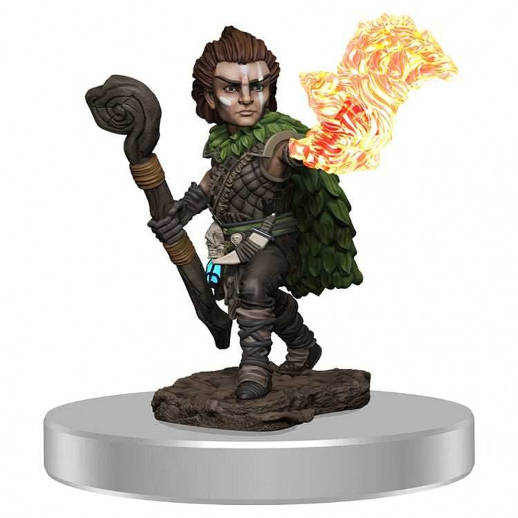 Pathfinder Battles: Male Gnome Druid W3 -