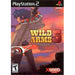 Wild Arms Video game