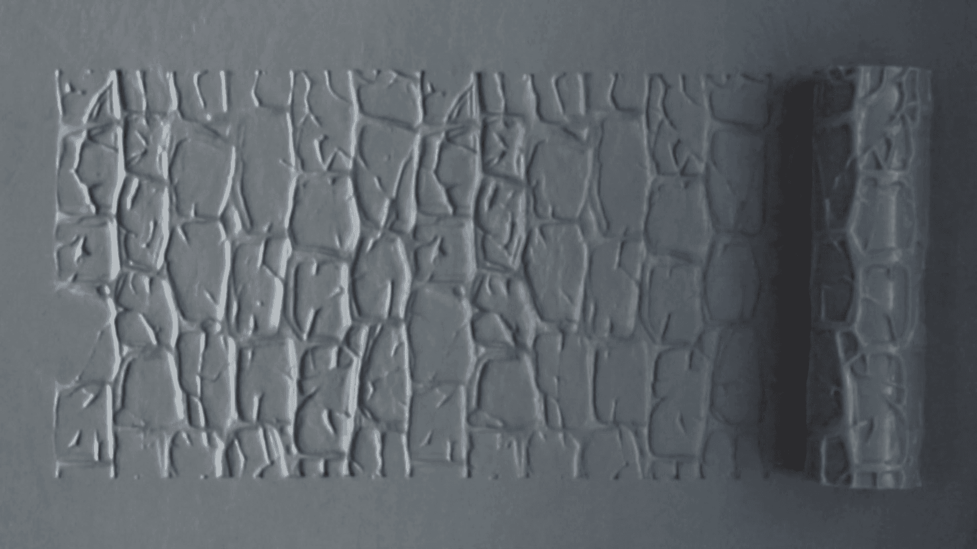 Textured Roller 10-3 - 100mm