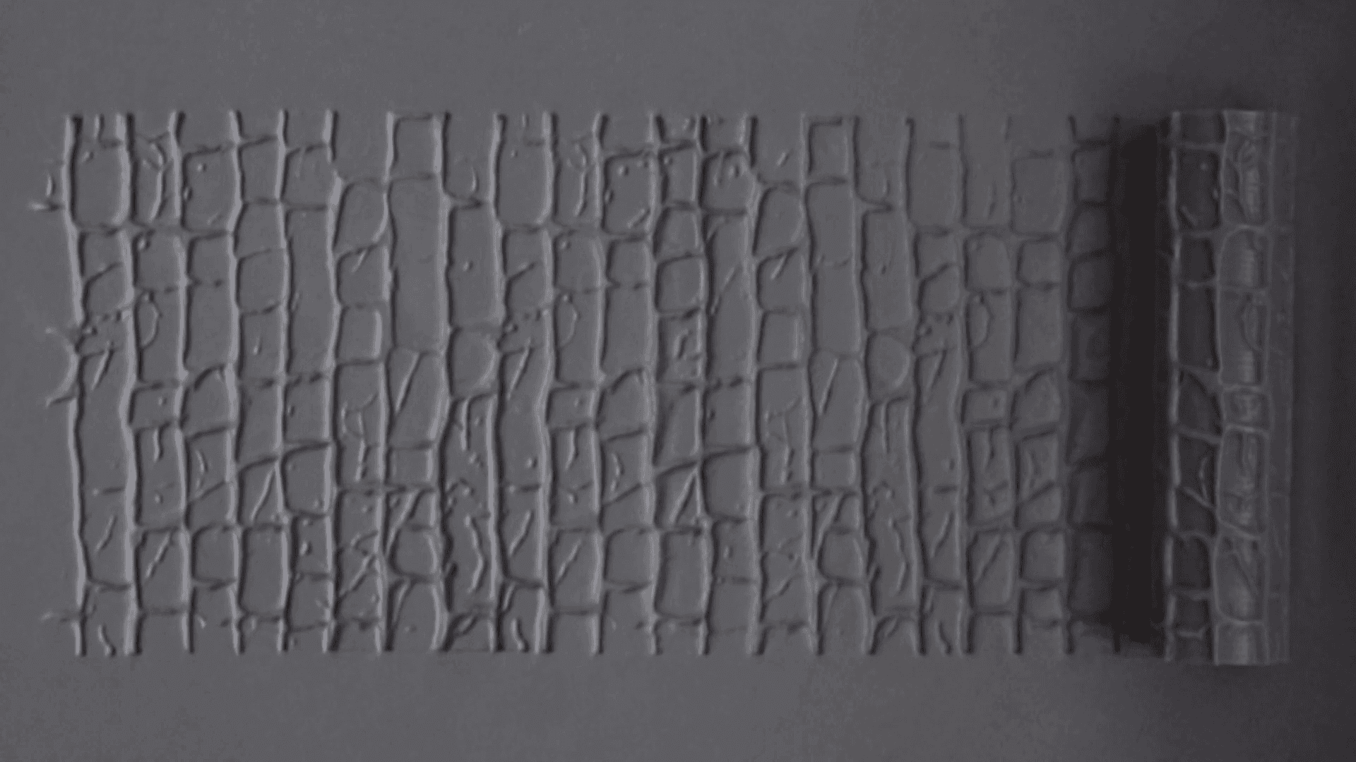 Textured Roller 10-5 - 100mm