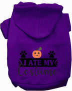 I Ate My Costume Halloween Pet Hoodie