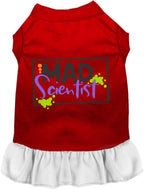 Mad Scientist Costume Pet Dress