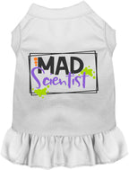 Mad Scientist Costume Pet Dress