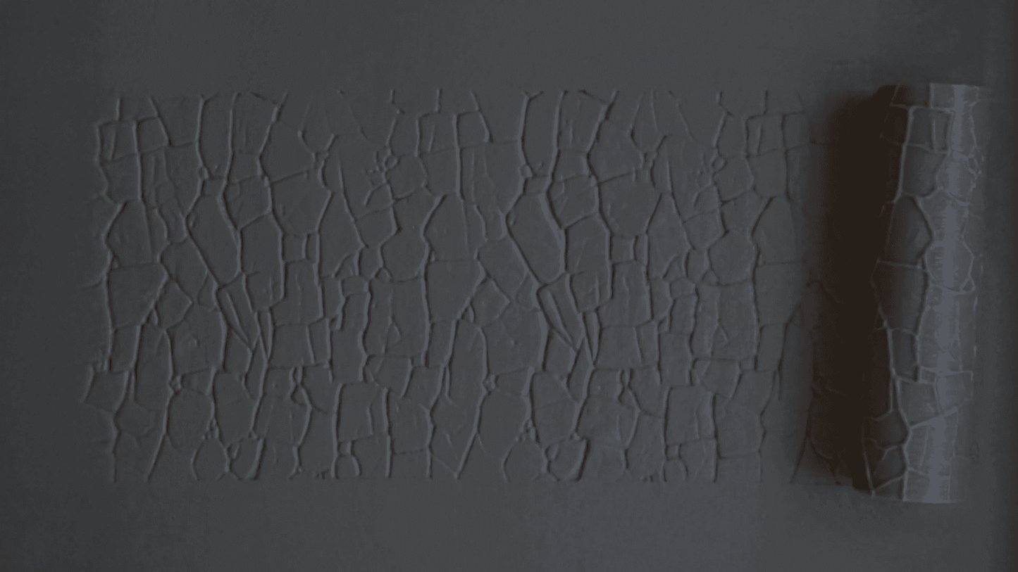 Textured Roller 12-3 - 100mm