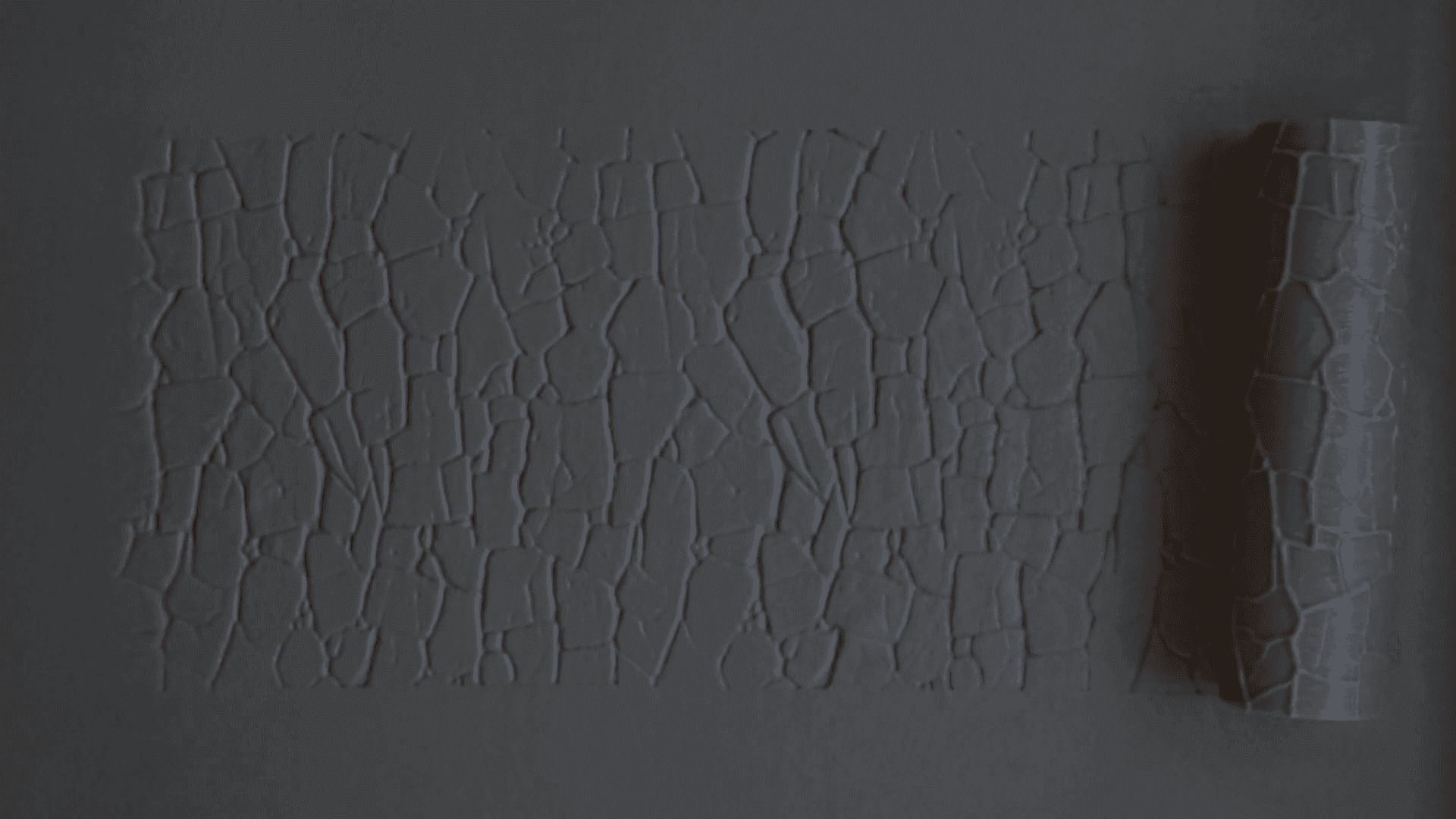 Textured Roller 12-3 - 100mm